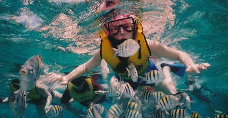 The 7 Best Key West Snorkeling Tours 2024 Reviews World Guides To