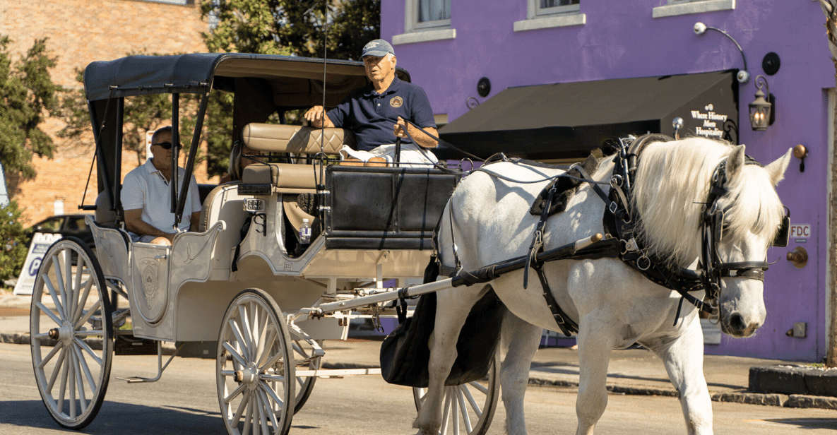 The 5 Best Charleston Horse Carriage Tours [2025 Reviews] | World ...