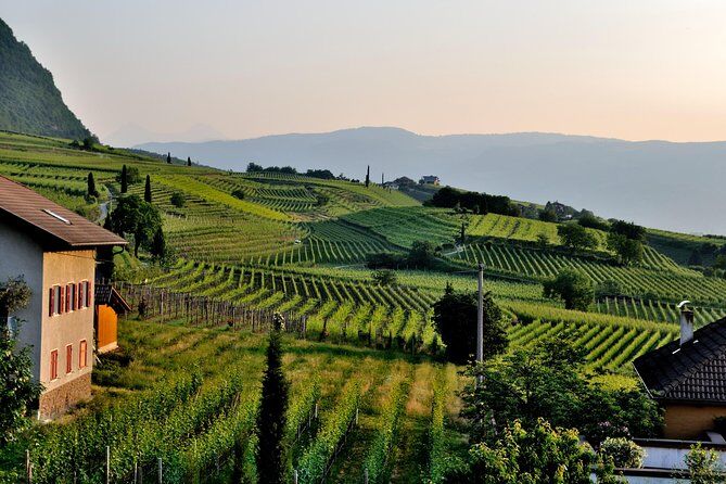 The 5 Best Rome Winery Tours [2026 Reviews] | World Guides To Travel